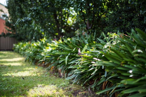 Merivale Motel - Holiday Cairns 2