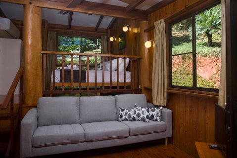 Milkwood Lodge - Holiday Cairns 1
