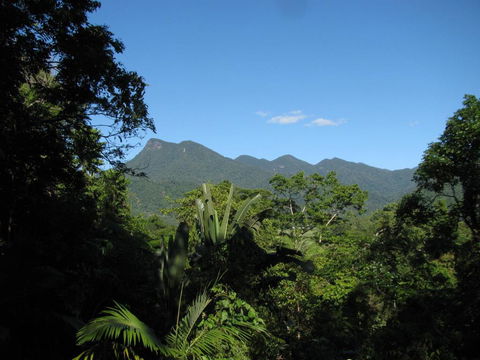 Mossman Gorge Bed And Breakfast - Holiday Cairns 0