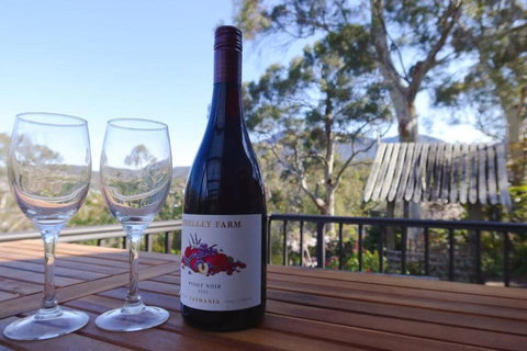 Mountains And Treetops Retreat - Nature Getaway - Holiday Cairns 2