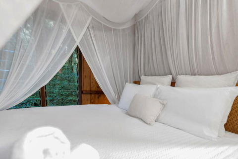 Neverland - The Stoney Creek Treehouse - Holiday Cairns 2