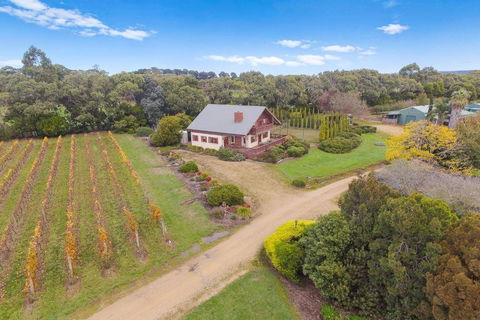 Northway Downs Estate Vineyard - Holiday Cairns 3