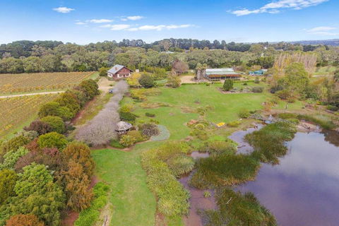 Northway Downs Estate Vineyard - Holiday Cairns 2