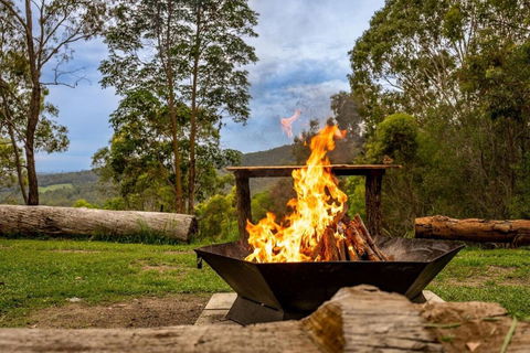 Personal Sauna & Ice-bath At Kookaburra Cabin - Holiday Cairns 2
