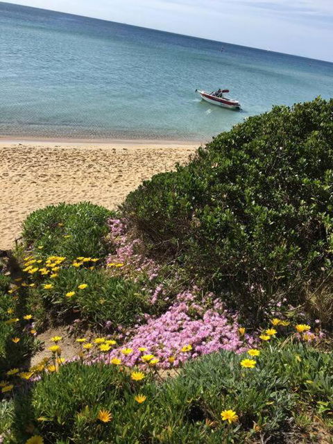 Quiet, Luxurious Guest House - Couples Retreat - Holiday Cairns 1