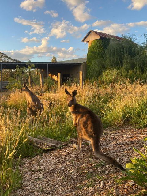 Private Country Escape With Valley Views - Holiday Cairns 2