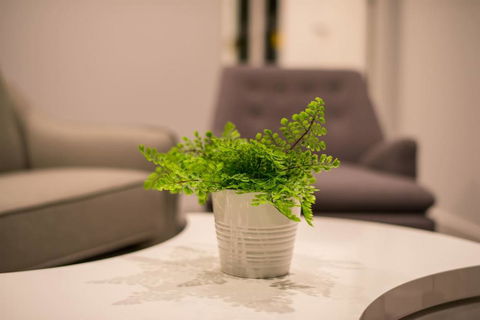 Astrina Deluxe 2 Bedroom - Holiday Cairns 3