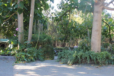 Avoca Park - Holiday Cairns 0