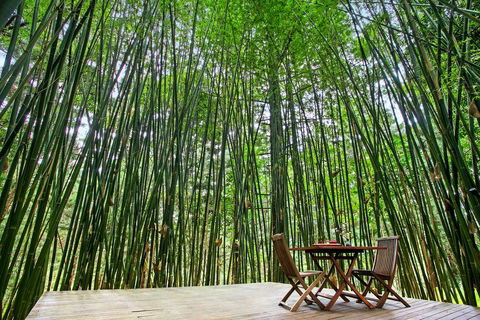 Azabu Boutique Accommodation - Holiday Cairns 1