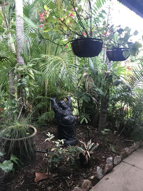 Bali Inspired Hideaway With Tropical Villa & Plunge Pool - Holiday Cairns 3