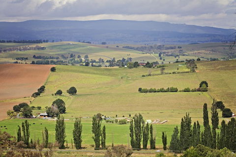 Bathurst Goldfields Motel - Holiday Cairns 2