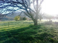 Book Mongans Bridge Accommodation Vacations Holiday Cairns Holiday Cairns