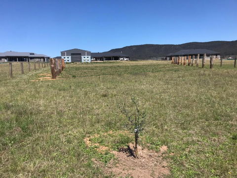 Rosehill Vines - Holiday Cairns 3