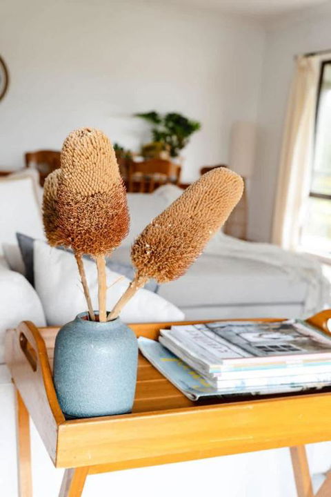 Salt Bush Cottage Peterborough - Holiday Cairns 1