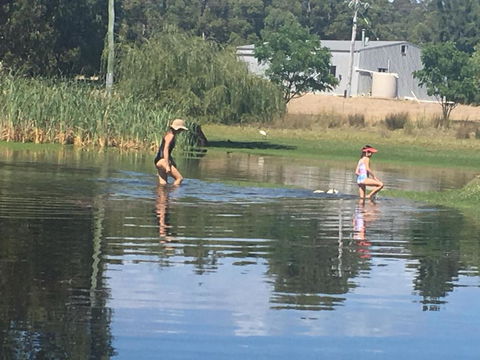 Something Different - Shedstay - Holiday Cairns 1