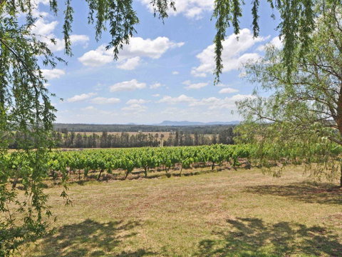 Beggars Bridge Vineyard Homestead W/ Pool + Wifi + Tennis + Vineyard - Holiday Cairns 3