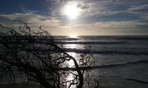 BIG4 Nambucca Beach Holiday Park - Holiday Cairns 3