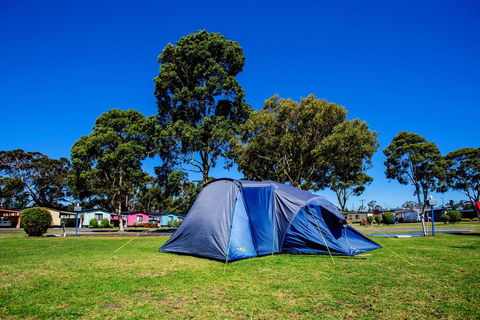 BIG4 Traralgon Park Lane Holiday Park - Holiday Cairns 2