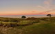 Blue Horizon - thumb 1