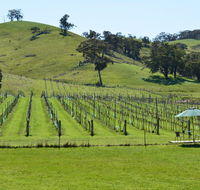 Blue House at Mountainside Wines - Holiday Cairns
