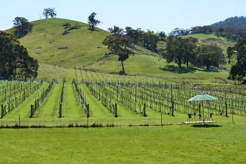 Blue House At Mountainside Wines - Holiday Cairns 0