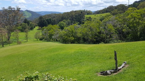 Blue Summit Cottages - Holiday Cairns 3