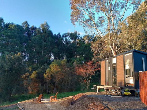 The Whistling Frog By Tiny Away - Holiday Cairns 0