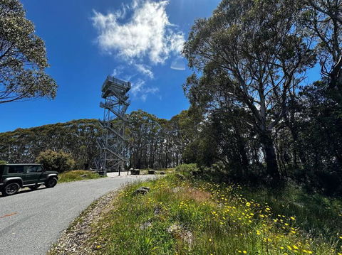 Tiny House At Gilderoy Valley Views - Holiday Cairns 1
