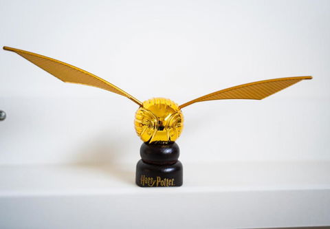 Welcome Muggles To The World Of Wizardry - Holiday Cairns 3