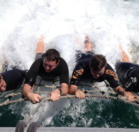 Cruise in Moreton Bay Marine Park and Moreton Island - Holiday Cairns