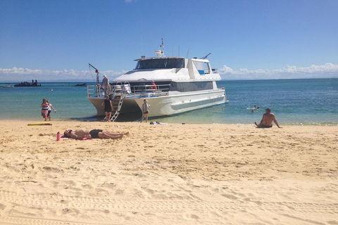 Cruise In Moreton Bay Marine Park And Moreton Island - Holiday Cairns 4