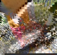 Gay-Wu Woman's 5 Day Yolngu Homeland Tour - Holiday Cairns