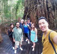 Cairns 4WD Waterfall and Rainforest Tour Including Kuranda Scenic Railway