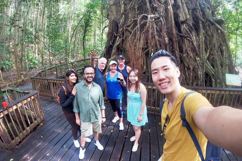 Cairns 4WD Waterfall And Rainforest Tour Including Kuranda Scenic Railway - Holiday Cairns 0