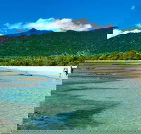 Private Daintree National Park Day Tour from Cairns Including Cape Tribulation and Mossman Gorge - Holiday Cairns