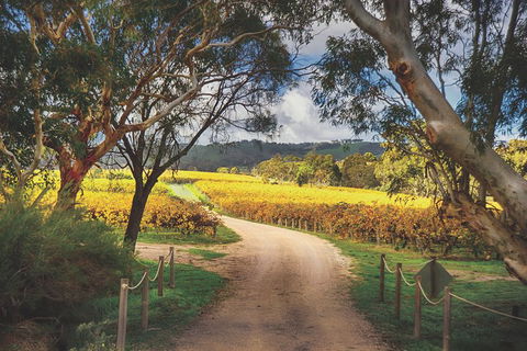 McLaren Vale Winery Small Group Tour With Wine Tasting And Lunch - Holiday Cairns 1