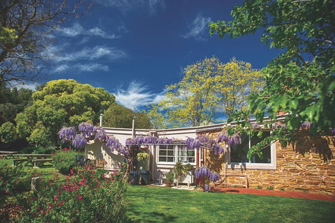 McLaren Vale Winery Small Group Tour With Wine Tasting And Lunch - Holiday Cairns 2