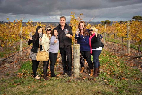 McLaren Vale Winery Small Group Tour With Wine Tasting And Lunch - Holiday Cairns 3