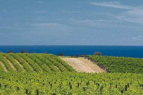 McLaren Vale Winery Small Group Tour With Wine Tasting And Lunch - Holiday Cairns 4