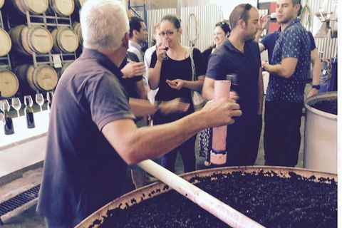 Luxury Private Mclaren Vale Wine Tour - Holiday Cairns 4