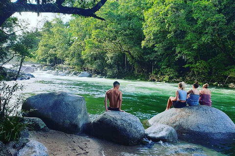 Afternoon Half-Day Daintree Rainforest And River Tour - Holiday Cairns 0