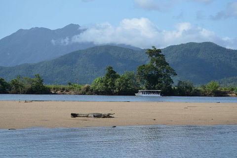 Afternoon Half-Day Daintree Rainforest And River Tour - Holiday Cairns 2