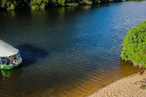 Afternoon Half-Day Daintree Rainforest And River Tour - Holiday Cairns 3