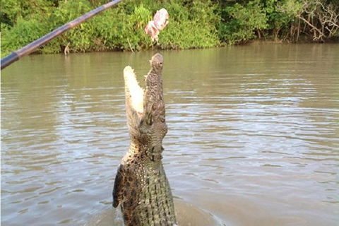 Litchfield National Park And Jumping Crocodile Cruise - Holiday Cairns 2