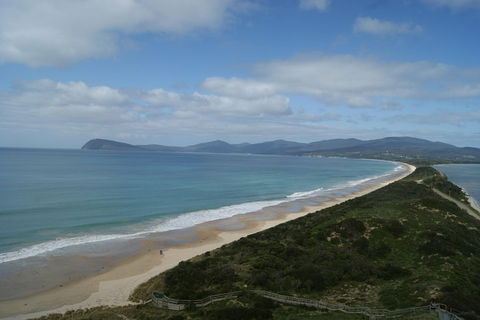 7-Day Best Of Tasmania Adventure Experience From Hobart (flexible Ticket) - Holiday Cairns 2