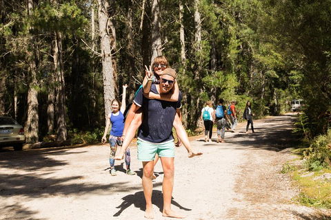 7-Day Best Of Tasmania Adventure Experience From Hobart (flexible Ticket) - Holiday Cairns 5