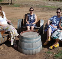 McLaren Vale Intimate Winery Tour by private Limo - Holiday Cairns