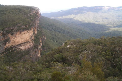 Full-Day Private Blue Mountains Tour With River Cruise - Holiday Cairns 3
