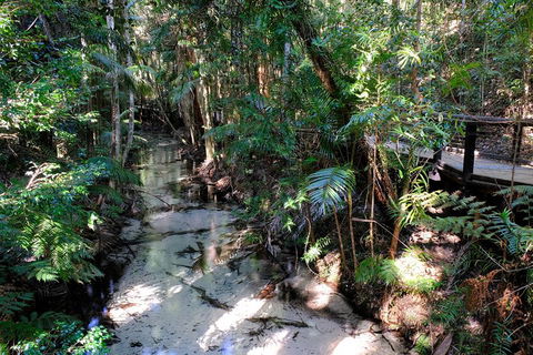 Fraser Island 4WD Tour From Rainbow Beach - Holiday Cairns 0