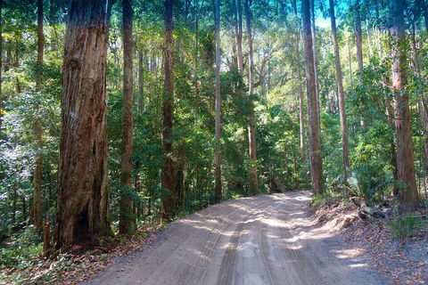 Fraser Island 4WD Tour From Rainbow Beach - Holiday Cairns 4